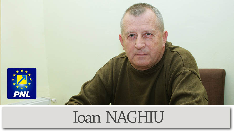 Consiliul Local Ileanda-Ioan NAGHIU-consilier local
