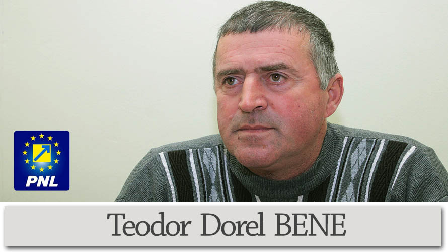 Consiliul Local Ileanda-Teodor Dorel BENE-consilier local