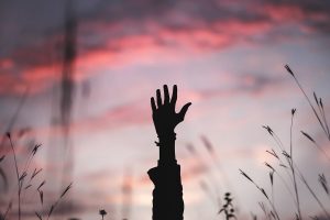Read more about the article Establishing that you have something to say