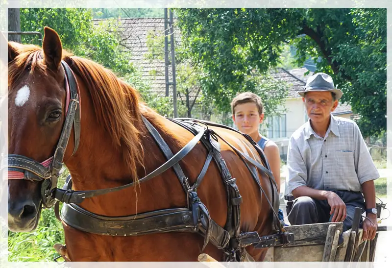 Read more about the article Ileanda – Concert de colinde 2019 (VIDEO)